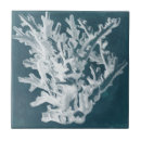 Recherche de corail carreaux Côtier