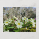 Suche nach dauer poster Natur