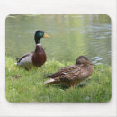 Suche nach quaken mousepads Vögel