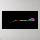 Recherche de fertilité humaine posters Sperme