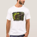 Recherche de phyllomedusa tshirts Amphibien