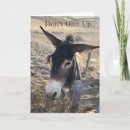 Recherche de têtu cartes postales Encouragement