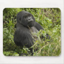 Suche nach berggorilla mousepads Bambus