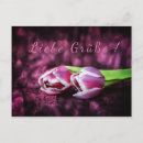 Recherche de tulpe cartes postales Rosa