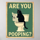 Suche nach lustige schwarze katze poster Kätzchen