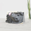 Recherche de dog cartes halloween Labrador