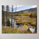 Suche nach aspen poster Herbst