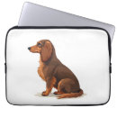 Suche nach dachshunds hüllen Wolf