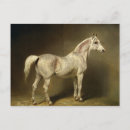 Recherche de beats cartes postales Portrait