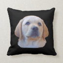 Suche nach labrador welpe kissen Niedlicher hund