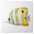 Suche nach tropische schmetterlinge fliesen Bunt