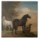 Suche nach p fliesen Reiter