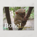 Recherche de tarsier posters Pour tous