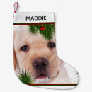 Recherche de labrador de noël chaussette de noël Laboratoire noir