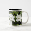 Recherche de fleur de cornouiller tasses Plante