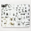 Recherche de entomologie tapis souris Mouche