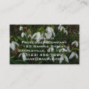 Suche nach schneefallen visitenkarten Blume