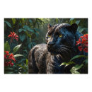 Suche nach panther poster Tropisch