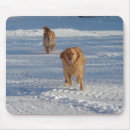 Suche nach läufer mousepads Schnee