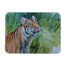 Recherche de espèces magnets Faune