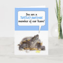 Suche nach lustige schildkröte karten Tier