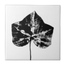 Recherche de lierre carreaux Feuille