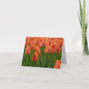 Suche nach tulpe kleine grußkarten Blumig
