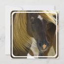 Recherche de mustang invitations Cheval sauvage