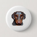 Suche nach lustige mops buttons Weimaraner