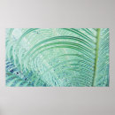 Suche nach weich poster Pflanze