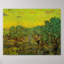 Suche nach olivenhain poster Vincent van gogh