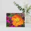Recherche de poopy cartes postales Printemps