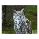 Recherche de remorqueur posters Animal