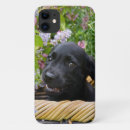 Suche nach labrador retriever iphone hüllen Welpe