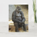 Recherche de coup manqué vœux cartes Pensée à vous