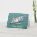 Recherche de phoques vœux cartes Océan