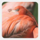 Suche nach rosa federn aufkleber Tier