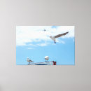 Suche nach himmel blau leinwandbilder Vögel