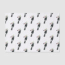 Recherche de toucan Oiseau