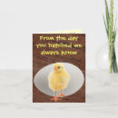 Suche nach hähne karten Küken