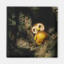 Recherche de oiseau vintage magnets Nature