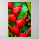 Recherche de homard posters Été