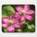Suche nach clematis mousepads Grün