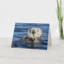 Suche nach niedlicher otter karten Bezaubernd