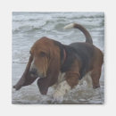 Recherche de animaux de mer magnets Vacances