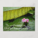 Suche nach buddha postkarten Wasser