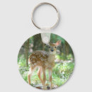 Recherche de whitetail accessoires Wildlife