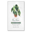 Suche nach botanisch magnete büro schule Modern