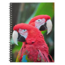 Recherche de perroquet carnets Oiseaux