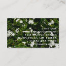 Recherche de jasmin cartes visite Fleurs